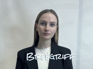 Breegriff