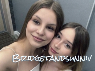 Bridgetandsunniv