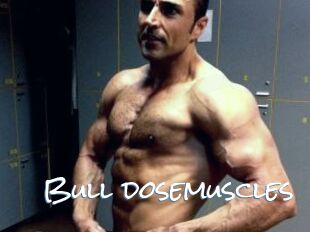 Bull_dosemuscles