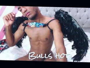 Bulls_hot