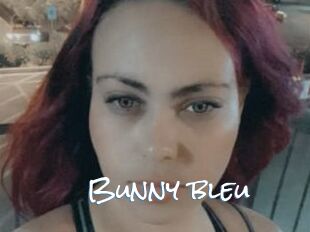 Bunny_bleu
