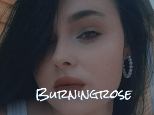 Burningrose