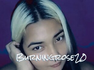 Burningrose20