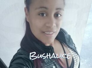 Bushalice