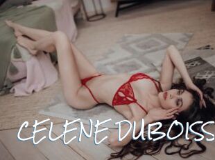 CELENE_DUBOISS
