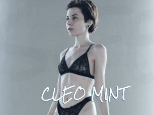CLEO_MINT