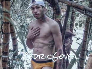 CedricGovea