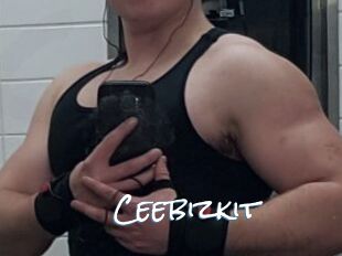Ceebizkit