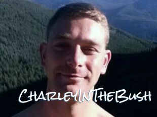 CharleyInTheBush