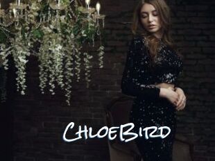 ChloeBird