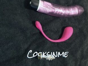 Cocksinme