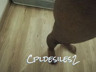 Cpldesiles2
