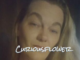 Curiousflower