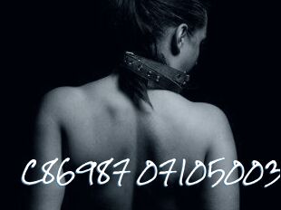 C86987-07105003