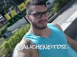 Calicheneitor
