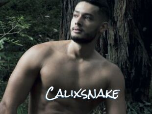 Calixsnake