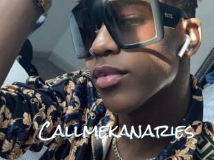 Callmekanaries