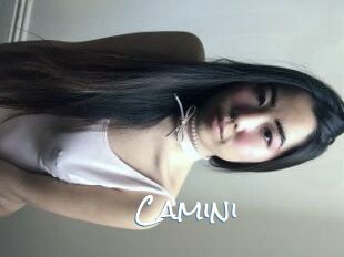 Camini