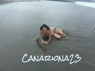 Canariona23