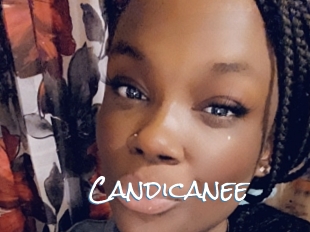 Candicanee