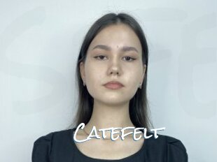 Catefelt