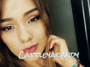 Cattleyacandy