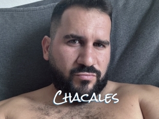 Chacales
