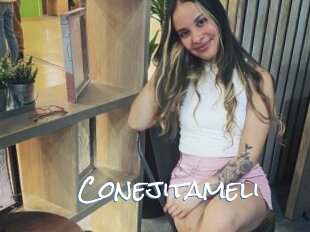 Conejitameli