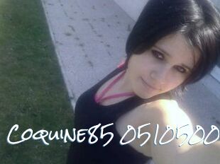 Coquine85-05105004