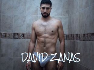 DAVID_ZANAS