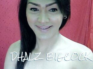 DHALZ_BIGCOCK