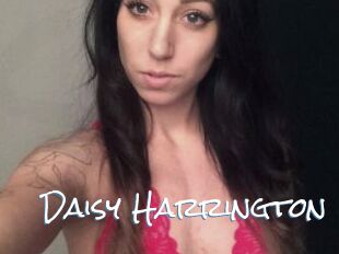 Daisy_Harrington