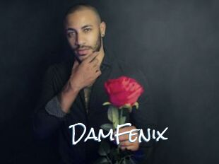 DamFenix