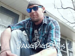 DangPigBenis
