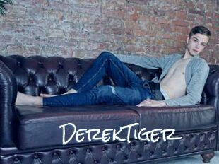 DerekTiger