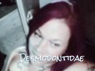 Desmodontidae