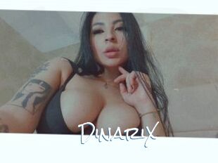DinariX