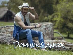 DomiinicSantos