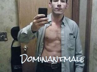 Dominantmale
