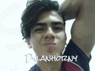Dylanhorny