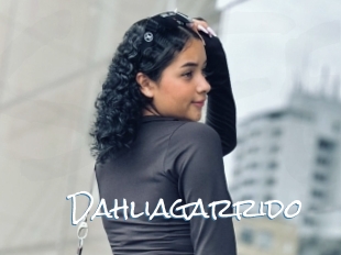 Dahliagarrido