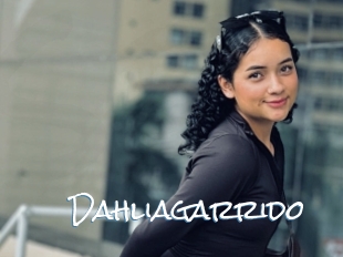 Dahliagarrido