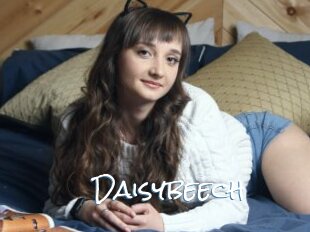Daisybeech