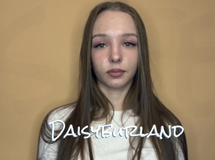 Daisyburland