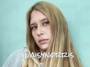 Daisynorris