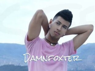 Damnfoxter
