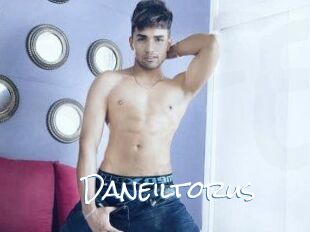 Daneil_torus