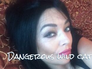 Dangerous_wild_cat