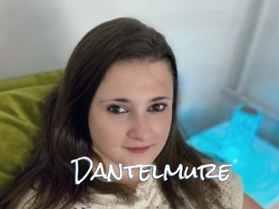 Dantelmure