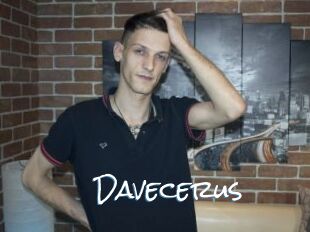 Davecerus